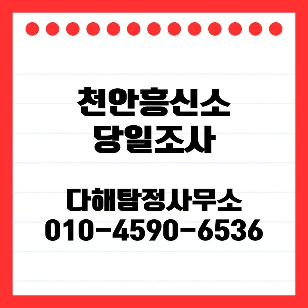 당일조사